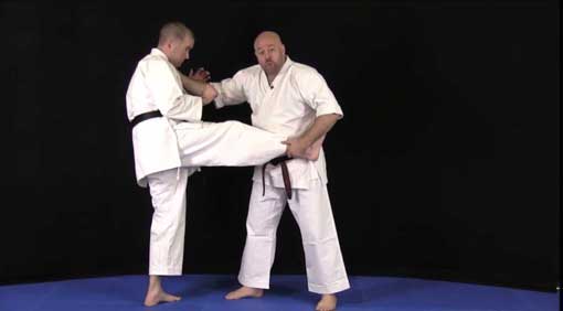 Applied Karate Cover